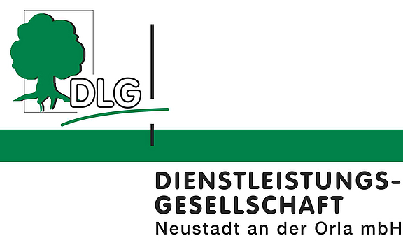 19_DLG.jpg