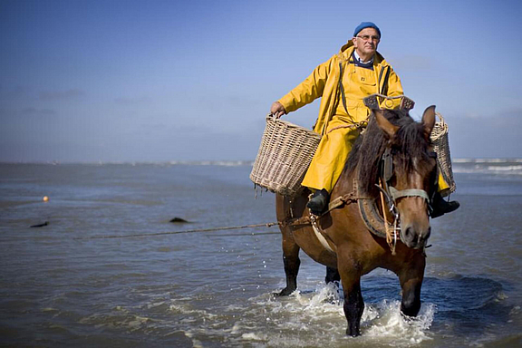 oostduinkerke-krabbenfischer_c_SNO.jpg  