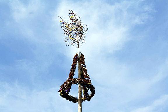 maibaum_c_pixabay.jpg  