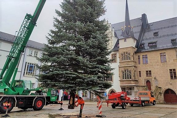 csm_weihnachtsbaum2022_c_SNO_cd3c2a92db.jpg  