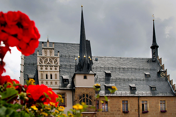 Rathaus_c_SNO.jpg