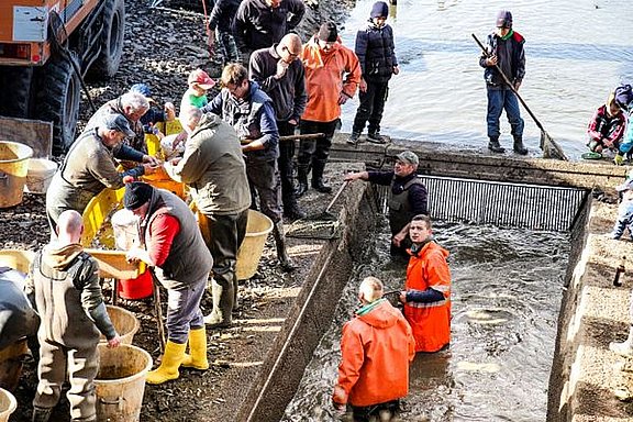 csm_Abfischen_c_Joerg-Uwe_Jahn_c3b53b9f39.jpg  