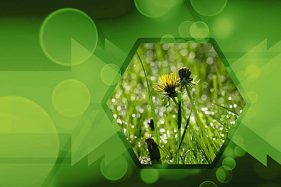 klimawandel_c_pixabay.jpg
