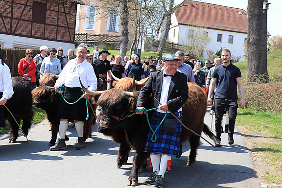 dreba-weideauftrieb_c_Joerg-Uwe-Jahn.jpg  