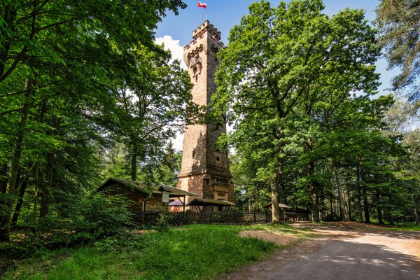 Jetzt zum Biskmarckturmlauf anmelden Neustadt Orla